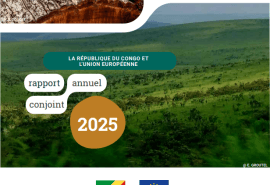 Republic of the Congo: Publication of the 2025 Joint Annual Report on the FLEGT VPA