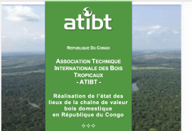 Publication de l’état des lieux de la chaîne de valeur bois domestique 