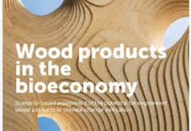 Engineered wood and construction: FAO report highlights the sector's climate potential