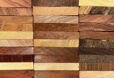 Une essence peut en cacher une autre