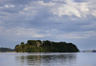 La Commission Carbone et Biodiversité s’est réunie le 9 novembre dernier