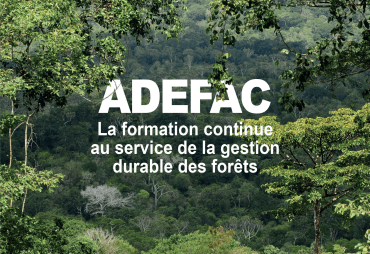 ATIBT launches two calls for expressions of interest as part of the ADEFAC program