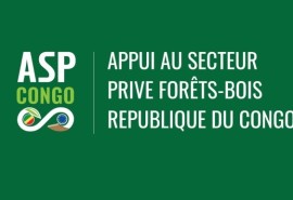ASP Congo project: a webinar on Forest Certification and the EUDR and CITES: what approach for forestry companies in Congo?