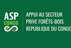 Projet ASP Congo : un webinaire sur la Certification forestière, le RDUE et la CITES : quelle démarche pour les entreprises forestières au Congo ?