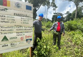 Business trips by European importers to Cameroon: Strengthening sustainable trade in Cameroonian timber and timber products on the European market