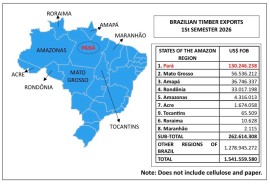 The state of Pará, a driving force behind Brazil’s tropical timber exports  