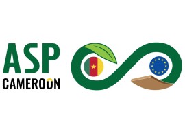 Cameroon Green Pact ASP project: ATIBT publishes a call for expressions of interest for activities related to timber markets
