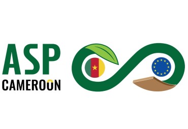 Cameroon Green Pact ASP project: ATIBT publishes a call for expressions of interest for activities related to timber markets