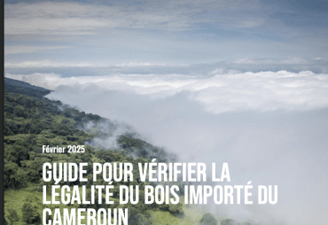 Publication d’un guide pratique sur le commerce légal de bois entre le bassin du Congo et l’UE