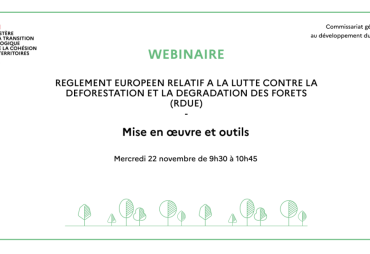 Webinaire sur la mise en œuvre du RDUE organisé par le Commissariat général au développement durable