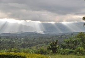Call for Expressions of Interest for the Development of the PAFC National Interpretation Guide for the Congo Basin in the Central African Republic