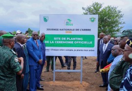 Celebration of National Tree Day in Côte d'Ivoire :ATIBT Joins the Ministry of Water and Forests 