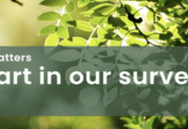 PEFC Market Survey 2026: Help Shape the Future of the Certification System 