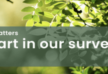 PEFC Market Survey 2026: Help Shape the Future of the Certification System 