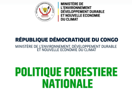 DRC: a new National Forest Policy to strengthen sustainable forest management and development 