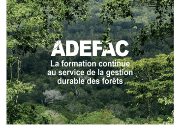 ADEFAC, the training project in Central Africa, enters its second year 