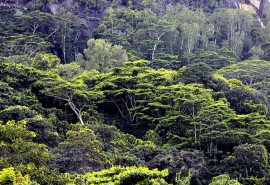 Certification OLB réussie pour la société gabonaise BSO