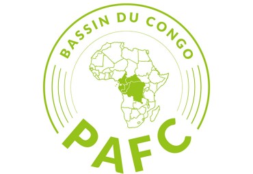 Friday 18 June 2021 at 10am CET : Webinar on forest certification in Central Africa: focus on the PAFC Congo Basin 
