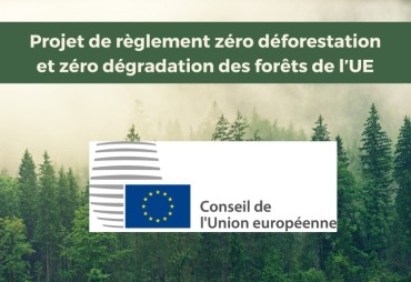 Industries du bois européennes et internationales : Lettre ouverte avant le vote en plénière sur la proposition de règlement sur les produits sans déforestation