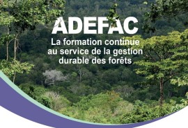 Yaoundé : Les acteurs de la transformation du bois du Cameroun et du Gabon en pleine formation-action
