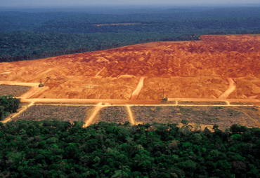 Actualisation version anglaise : Analyse - Le projet européen de lutte contre la déforestation importée : les limites d'une approche indifférenciée