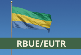 Timber imports from Gabon and EUTR: no decision, no recommendation, but a subject to be monitored