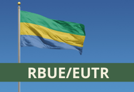 Importation de bois du Gabon et RBUE, finalement un malentendu ?