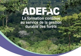 Consult the 3rd edition of the "carnets de l'équipe France” published by AFD