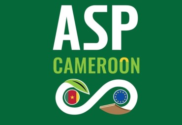 Participate in the survey to strengthen sustainable trade with Cameroon and prepare for the meetings at CIB