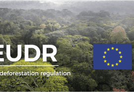 Webinar organized by the French General Commission for Sustainable Development (CGDD) dedicated to the implementation of the EUDR, to be held on Tuesday, May 27, 2025, from 9:30 a.m. to 11 a.m