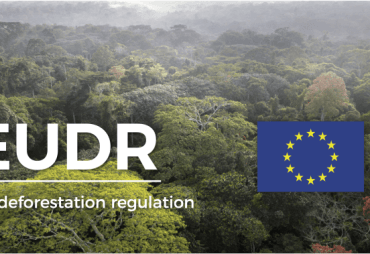 Webinar organized by the French General Commission for Sustainable Development (CGDD) dedicated to the implementation of the EUDR, to be held on Tuesday, May 27, 2025, from 9:30 a.m. to 11 a.m