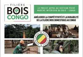 The “Domestic Timber Market” (MIB) project featured in the Republic of Congo APV-FLEGT newsletter