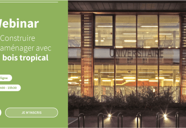 REMINDER : Webinar – Building and designing with tropical wood: concrete feedback from professionals