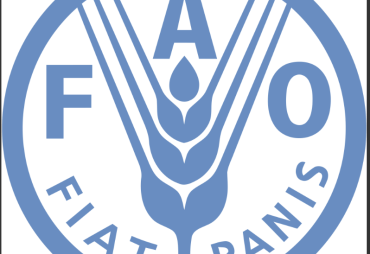 Tropical forests at the heart of the FAO's 2025 global report