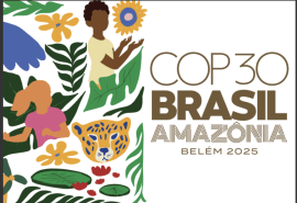 ATIBT at COP30 in Belém: Key Messages and Outcomes (2/2)