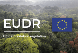 EUDR: the European Parliament adopts the targeted revision of the Regulation and launches a stakeholder consultation