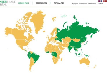 EUDR: Focus on the Timber Trade Portal Update Workshops – A Due Diligence Support Tool