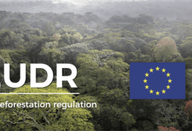 ATIBT is proud to be part of the EUDR Community of Practice Group: strengthening coordinated implementation