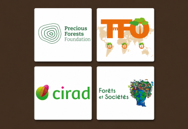 Toward New Paradigms in Tropical Forestry: A High-Level Scientific Workshop Takes Place in Montpellier