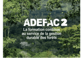 ADEFAC 2 recrute un(e) Chef(fe) de projet régional(e) basé(e) au Cameroun