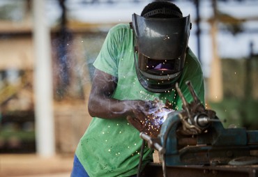 Métiers du secteur forêt-bois : peu connus, mais avec de nombreuses opportunités d’emplois : la preuve en images