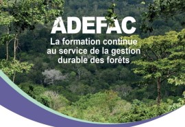 Formation à l’approche compétences pour les experts du secteur bois