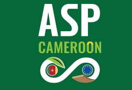 Lancement du projet ASP – Pacte Vert Cameroun