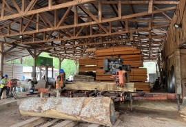 Le programme AL Invest Mexique, la traçabilité des bois de la Selva Maya pour plus de débouchés commerciaux 