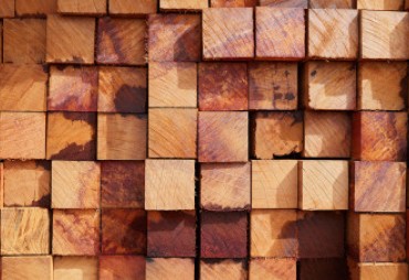 Launch of a Call for Proposals for a Study on China’s Domestic Tropical Timber Market