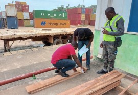 Formation à l’identification des essences forestières sur produits transformés, au mesurage et au classement des sciages à Libreville (Gabon)