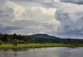 Incitations fiscales pour une meilleure gestion des forêts et une production agricole zéro-déforestation en Afrique centrale et de l’Ouest 