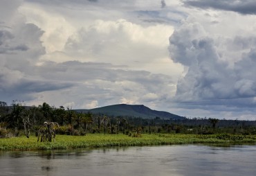 Fiscal incentives for improved forest management and deforestation-free agricultural commodities in Central and West Africa