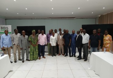 Atelier multi-acteurs pour construire un marché du bois légal et durable en République du Congo