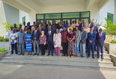 Republic of the Congo: A key workshop focused on the strengthening of the domestic timber sector